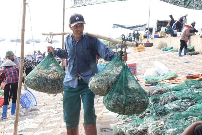 Chợ cá Giao Hải còn là nơi tạo việc làm cho nhiều lao động lớn tuổi. Tiền công gánh hàng lên đê từ 5.000 - 10.000 đồng/chuyến.