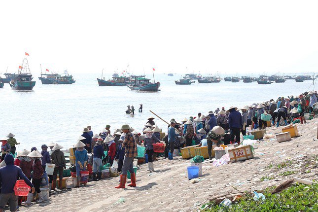 Trên mép nước, bãi cãi, triền đê hoạt động mua bán của hàng trăm ngư dân diễn ra sôi nổi.