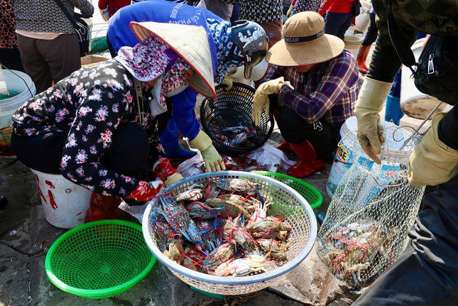 Chợ cá Giao Hải luôn đa dạng các loại mặt hàng như mực, tôm biển, cua ghẹ, bề bề, cá bơn, cá đuối…