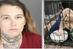 Phi thường - kỳ quặc - Gây tai nạn rồi bỏ trốn, cô gái có hành động nhẫn tâm với "chó cưng" và cái kết