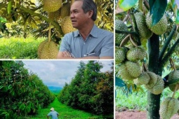 Kinh doanh - Bầu Đức và những phát ngôn ấn tượng về sầu riêng