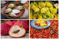 Ẩm thực - 10 loại trái cây đắt nhất thế giới, có tiền chưa chắc mua được