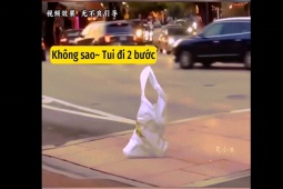 Clip hài hước - Đời sao lắm thứ lạ lùng thế!
