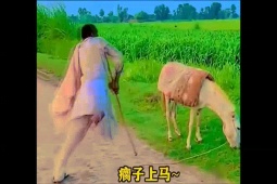 Clip hài hước - Choáng với những trò "hack não" cực đỉnh của con người