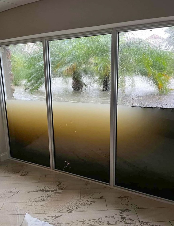 Không phải khung cảnh Florida xinh đẹp mà bất cứ ai tưởng tượng!&nbsp;
