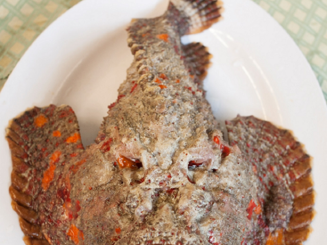Cá “xấu xí nhất thế giới“, nay lên đĩa thành hải sản giá gần 2 triệu đồng