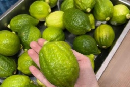 Thị trường - Tiêu dùng - Loại chanh “lạ” nhập từ Trung Quốc “gây sốt” tại chợ Việt, cửa hàng bán ngày cả tấn