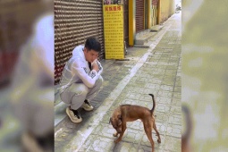 Clip hài hước - Những con vật vô tri nhất hành tinh