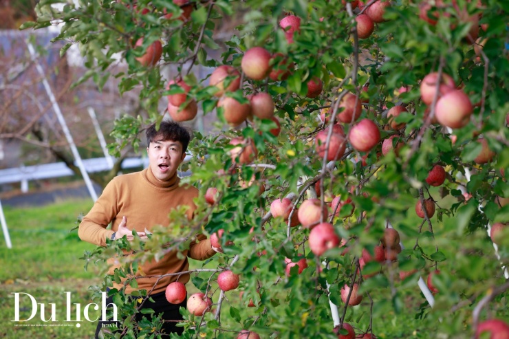 Fukushima ngày trở lại: Sắc thu đỏ thẫm ấm áp tình người - 5