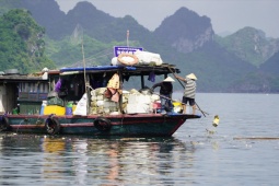 Tin tức trong ngày - Vịnh Hạ Long đang ở 'cảnh báo đỏ'