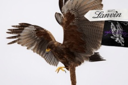 Thời trang - LANVIN LAB ra mắt làm nức lòng giới mộ điệu