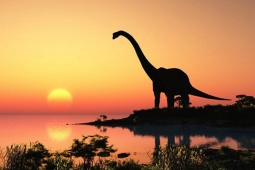 Công nghệ thông tin - Nghiên cứu gây "sốc": Khủng long có khả năng vẫn đang tồn tại?