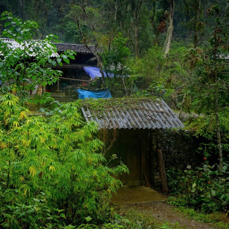Làng&nbsp;Sảo Há sống thành một nhóm, những mái nhà lợp ngói âm dương chụm vào nhau, lặng lẽ bảo vệ nhau giữa đại ngàn. Sảo Há nghĩa là thung lũng trên cao.