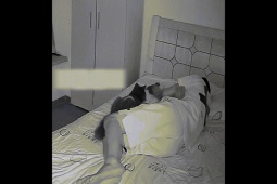 Phi thường - kỳ quặc - Vội vàng thức giấc vì bỗng chạm phải thứ xù xì ghê tay, ngỡ ngàng vì trò "nghịch" của "pét cưng"