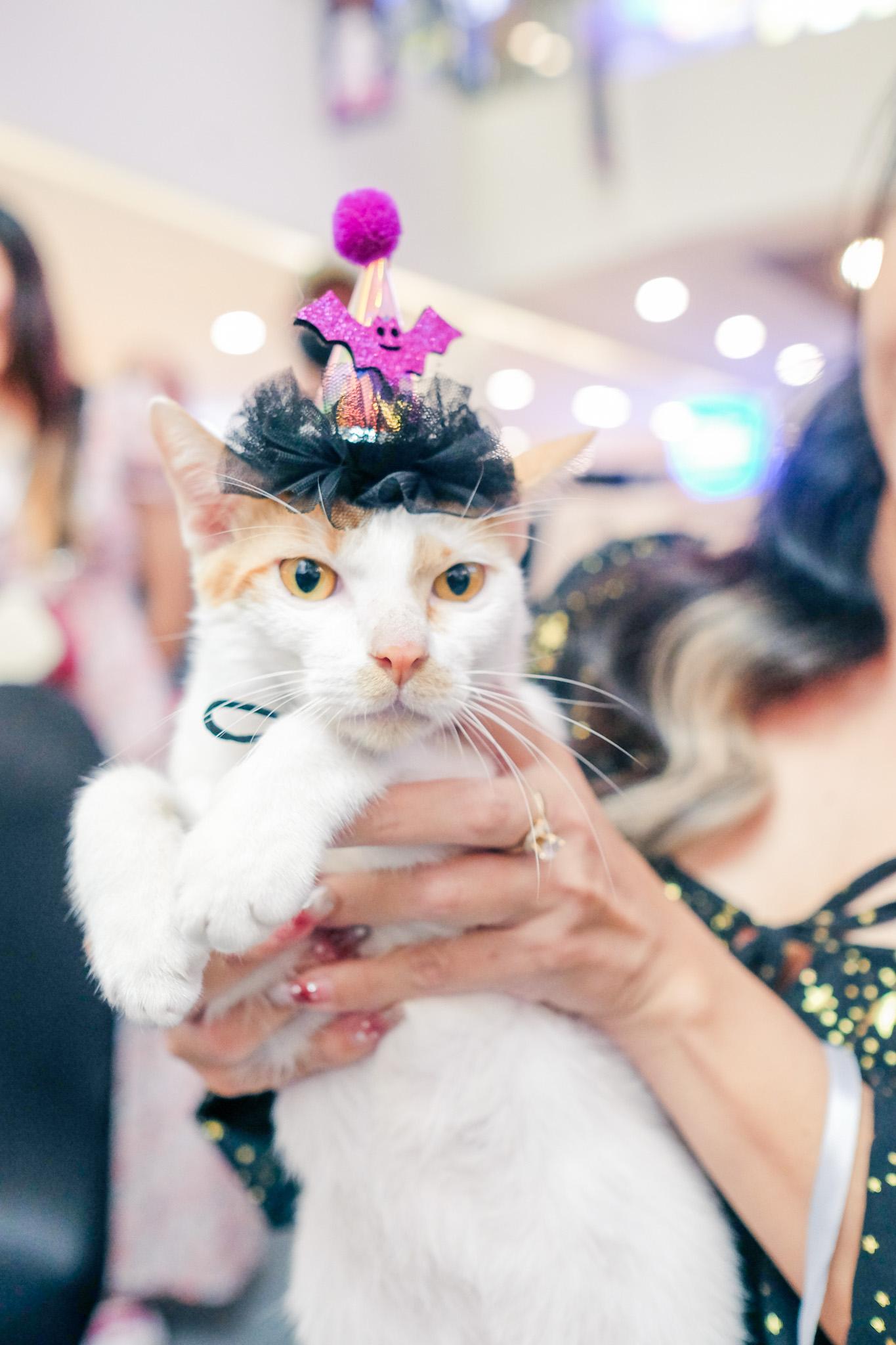 Xuất hiện xu hướng cá nhân hóa thú cưng