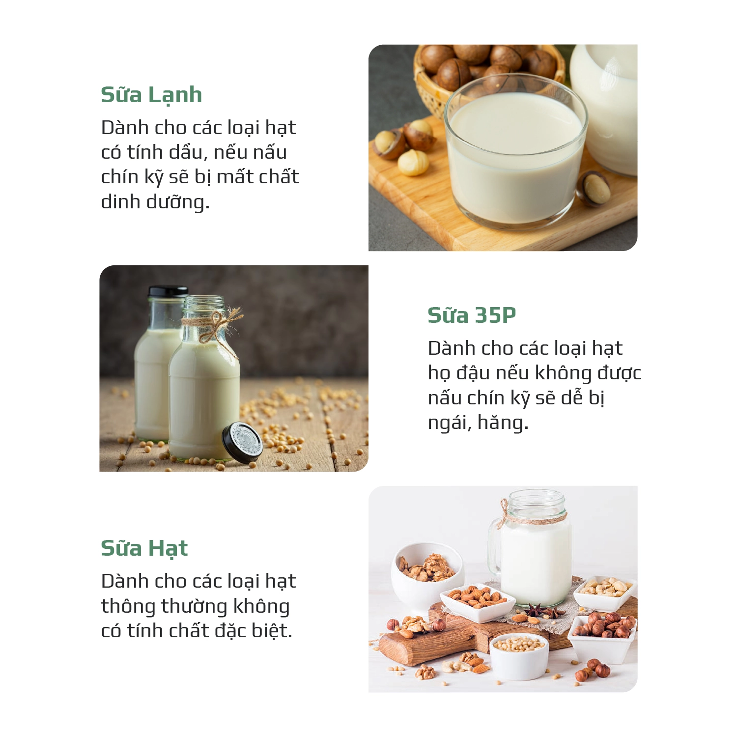 Review máy làm sữa hạt OLIVO CB1000 dung tích 1000ml: Có thực sự đáng mua? - 2