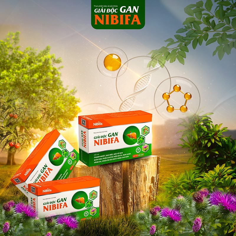 Giải độc gan của Nibifa giúp bảo vệ lá gan khoẻ mạnh - 1