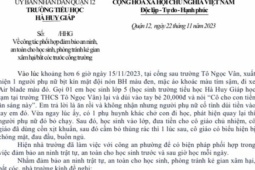 Tin tức trong ngày - Sự thật về một phụ nữ dụ cho tiền học sinh để bắt cóc ở TP HCM