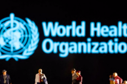 Thế giới - Trung Quốc phản hồi WHO về ‘dịch bệnh bất thường’