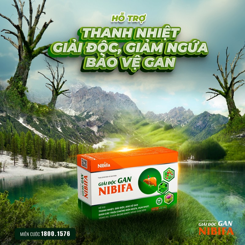 TPBVSK Giải độc Gan NIBIFA – Bảo vệ lá gan khoẻ mạnh