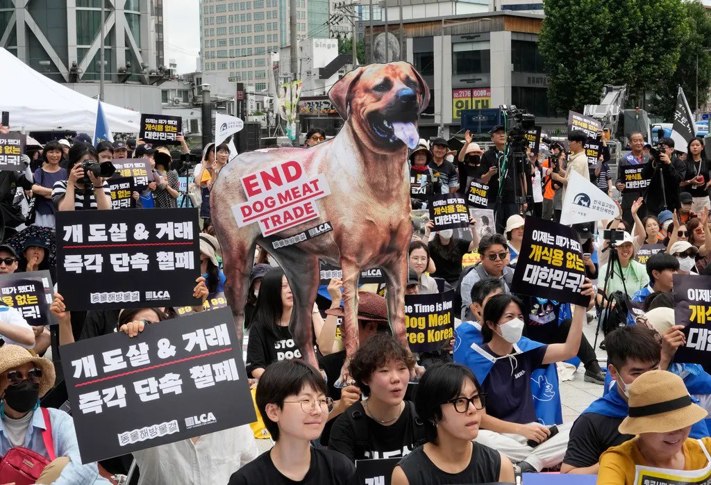 Giới trẻ Hàn Quốc kêu gọi Quốc hội nước này nhanh chóng thông qua luật cấm tiêu thụ thịt chó (ảnh: SCMP)