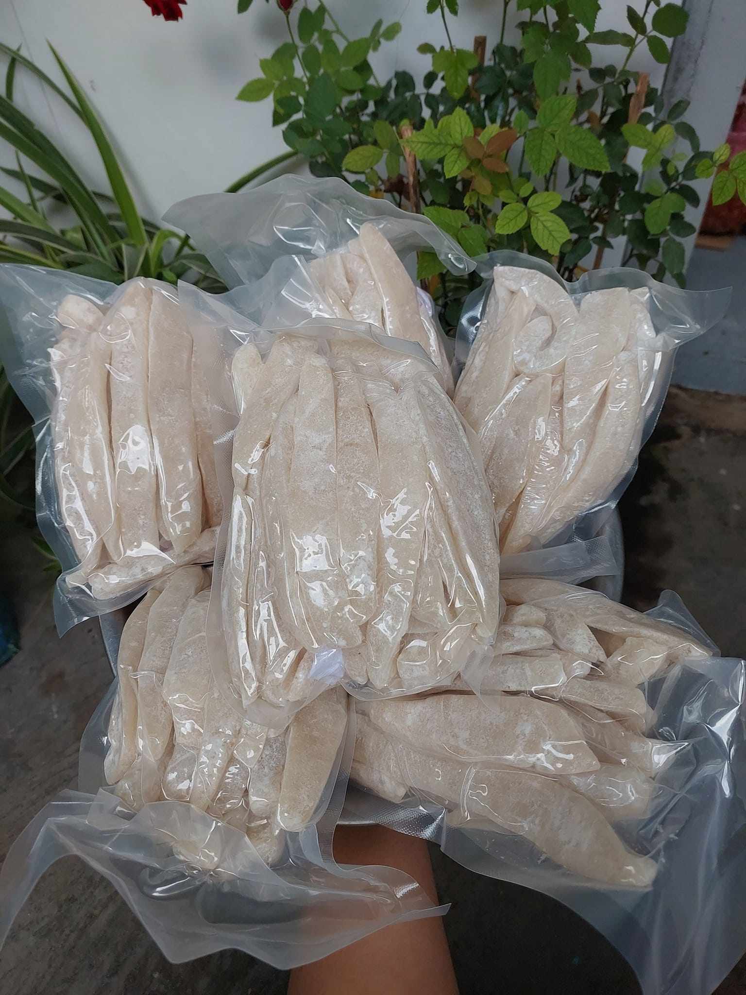 Dừa sáp hiện tại đang được bán giá 380.000 đồng/kg, bán lẻ.