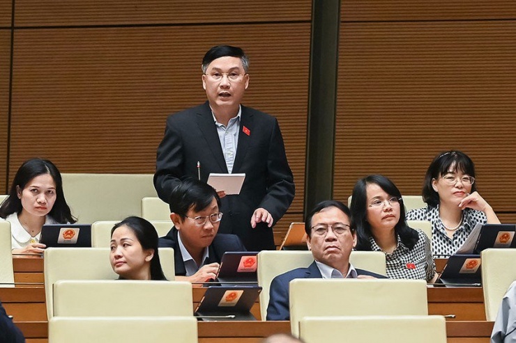 Đại biểu Lê Hoàng Anh, Đoàn Gia Lai, tranh luận tại phiên thảo luận chiều 24-11. Ảnh: QH