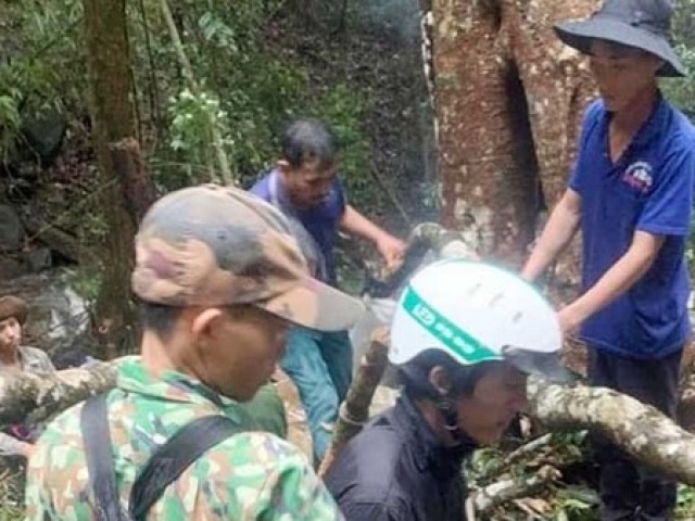 Tin tức trong ngày - “Nước mắt” rừng xanh