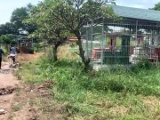 Pháp luật - Người đàn ông tử vong bất thường ở nghĩa trang Bình Hưng Hòa