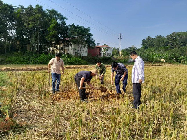 Khu vực phát hiện chậu đồng cổ