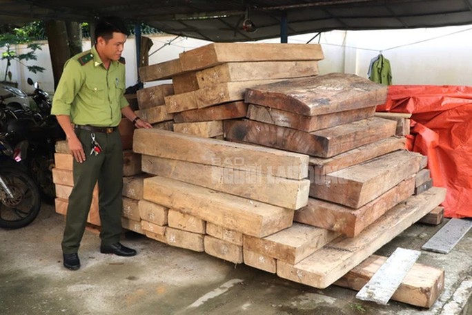 Ban đầu, lực lượng kiểm lâm xác định số gỗ lậu là của ông Võ Văn Nho, anh trai ông Võ Văn Ba, Trưởng phòng Nội vụ huyện Phước Sơn