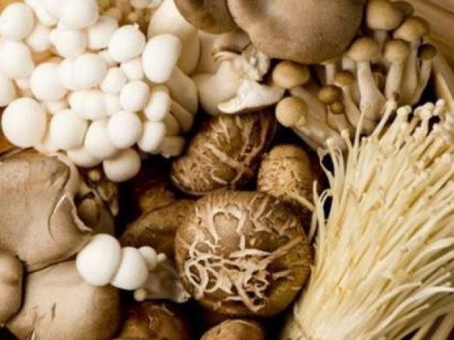 Những lưu ý ”sống còn” khi ăn nấm, nhớ cho kỹ kẻo ngộ độc chết người