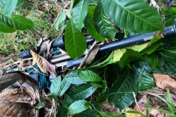 Pháp luật - Hành trình 40 ngày đêm truy bắt tên cướp có biệt danh "người rừng" trong chòi vắng