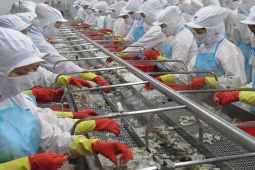 Kinh doanh - “Vua tôm” bất ngờ chi gần 633 tỷ đồng xây nhà ở xã hội