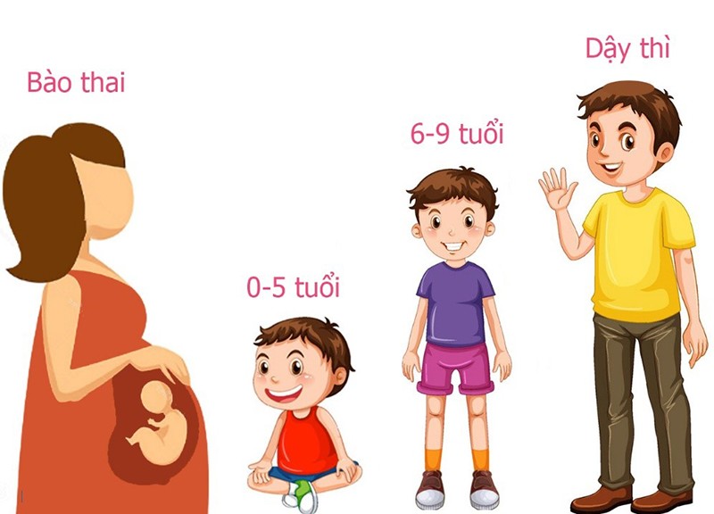 Bố mẹ cần tạo tiền đề vững chắc cho các giai đoạn phát triển chiều cao quan trọng của trẻ