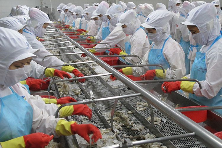 Minh Phú đang báo lỗ trong quý III