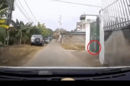 Tin tức ô tô - Clip: Bủn rủn cảnh cháu bé từ trong nhà lao ra trước đầu ôtô