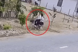 Xe máy - Xe đạp - Clip: Lao xe đạp vào cột chống cây, học sinh ngã chổng vó