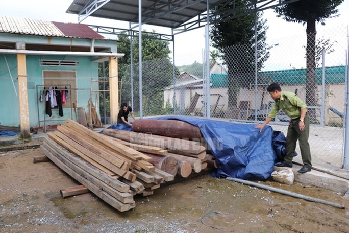 Gần 5m3 gỗ được thu giữ tại khu đất của ông Võ Văn Ba, Trưởng Phòng Nội vụ huyện Phước Sơn