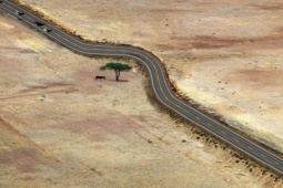 Cười 24H - Bật cười trước những công trình đậm chất "yêu thiên nhiên"