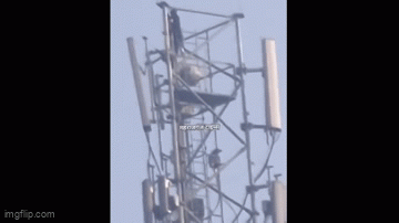 Cô gái tự ý trèo lên một tháp phát sóng di động cao 50m để bày tỏ tình yêu khiến nhiều người ngao ngán - 1