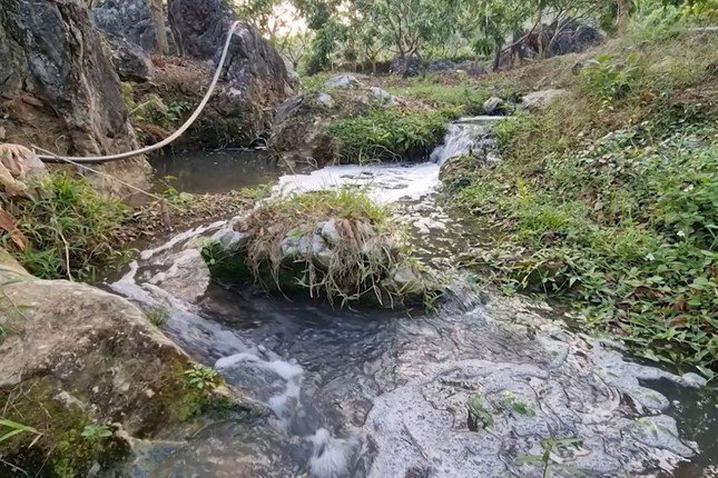 Nước suối bị ô nhiễm do chất thải từ hoạt động sơ chế cà phê