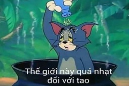 Truyện cười: Làm sao có thể ăn ngon khi chưa chụp ảnh?