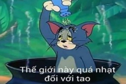 Truyện cười - Truyện cười: Làm sao có thể ăn ngon khi chưa chụp ảnh?