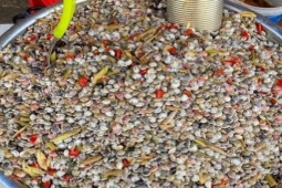 Thị trường - Tiêu dùng - "Lộc biển" ở Việt Nam, hình dạng bé xíu nhưng mỗi ngày đi xúc kiếm bạc triệu