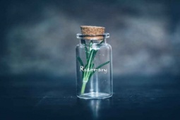 Đàn ông - Dầu hương thảo có thực sự giúp chàng trị hói đầu không?