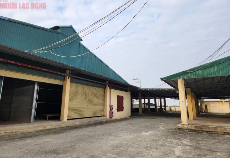 Chợ Hà (xã Hoằng Thanh, huyện Hoằng Hóa, tỉnh Thanh Hóa) được đầu tư hơn 20 tỉ đồng nhưng thưa vắng người họp chợ suốt nhiều năm qua. Ảnh: Thanh Tuấn