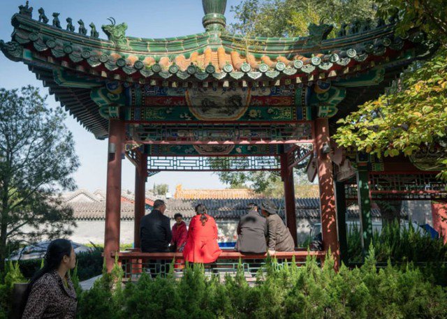 Người lớn tuổi đến công viên để tìm bạn đời. Ảnh: The New York Times