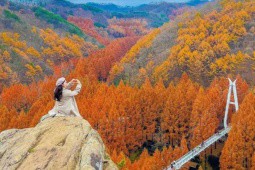 20 phong cảnh mùa thu lộng lẫy nhất Hàn Quốc