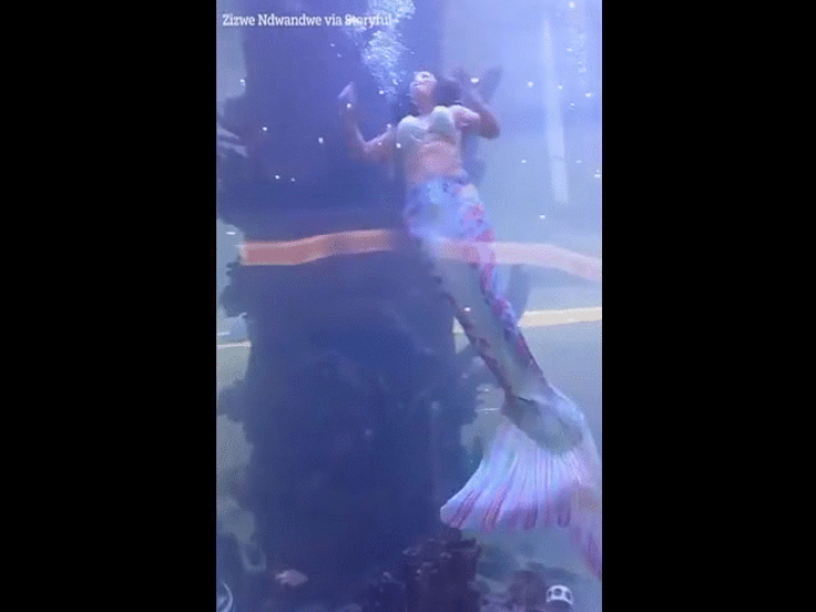 Nín thở xem khoảnh khắc "nàng tiên cá" bị mắc kẹt, suýt chết đuối trong bể nước